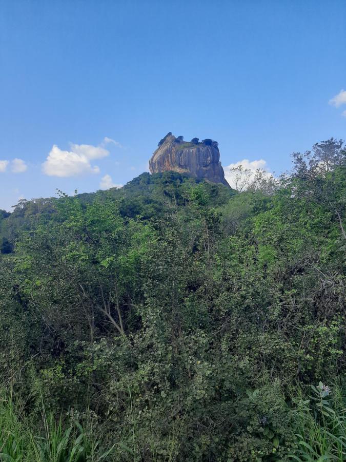 Hotel Chanara Sigiriya Exteriér fotografie